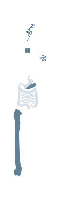 Hematopoietic