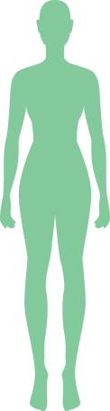 Integumentary system