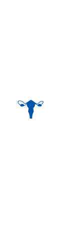 Reproductive system