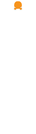 Sensory system