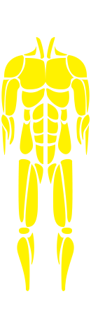 Musculoskeletal system