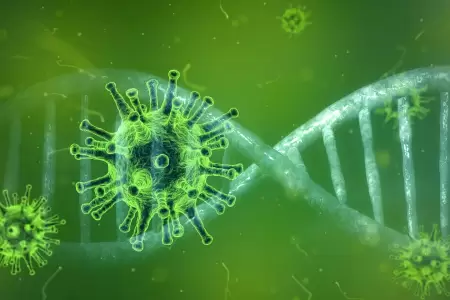 Action of herbal components in the composition of EXTRACTcleansePLUS